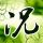 《疯狂动物城2》付费后限48小时内观看