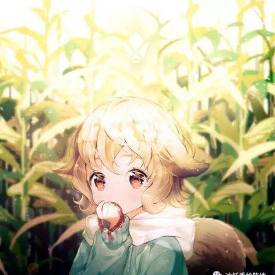 男子在美摆摊卖磨刀器 月入1万美金